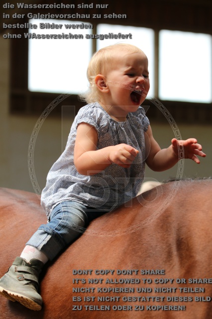 s_IMG_5667.JPG